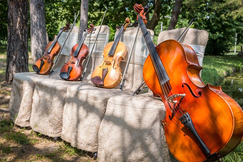 String instruments set out for live event entertainment