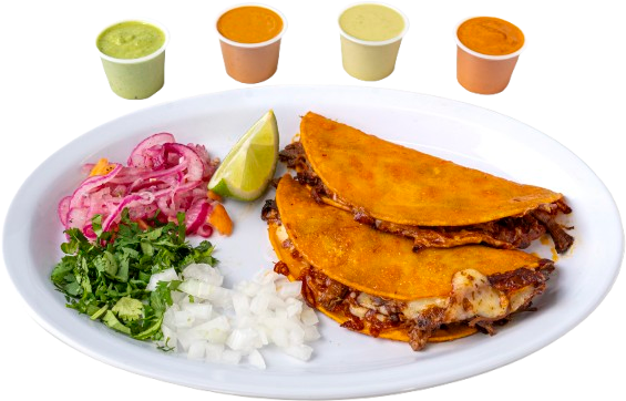 Birria