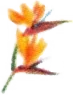 seasonal icon