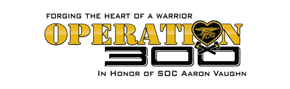 Operation 300