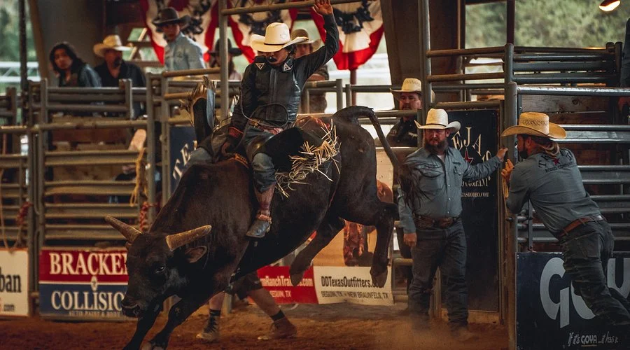 bucking on cattle