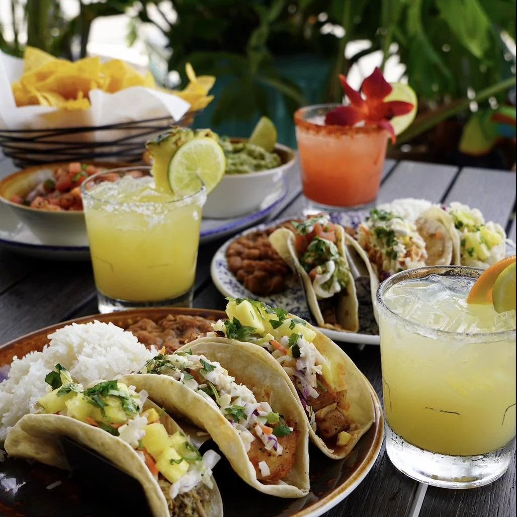 Tacos with margaritas