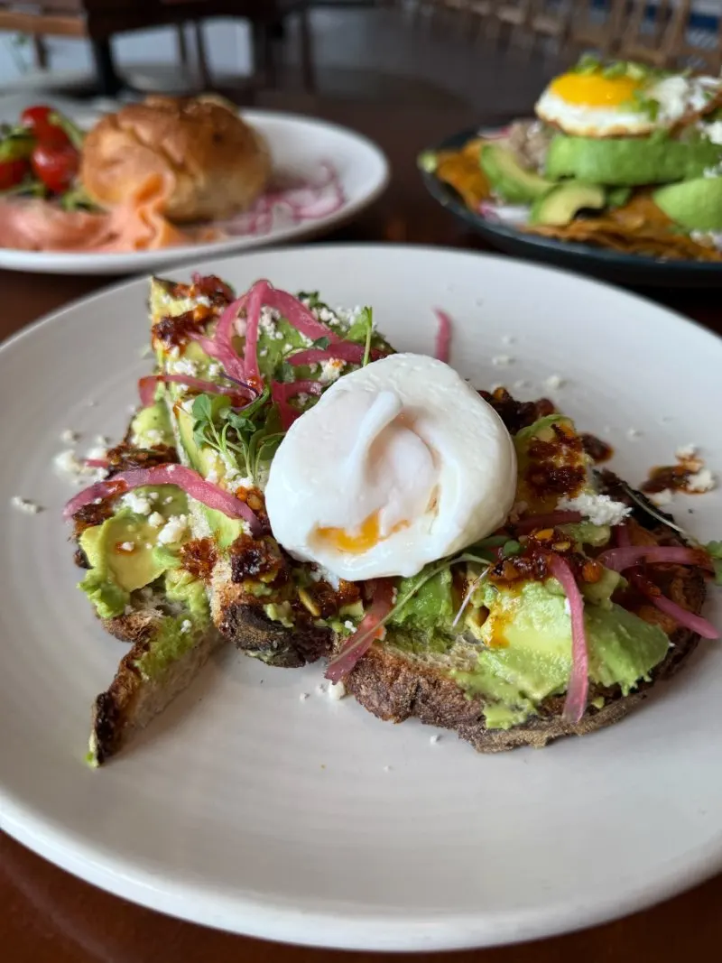 Avocado toast topped with a poached egg at Junior’s on Harrison