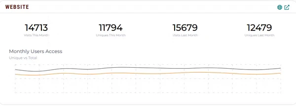Website visits line graph