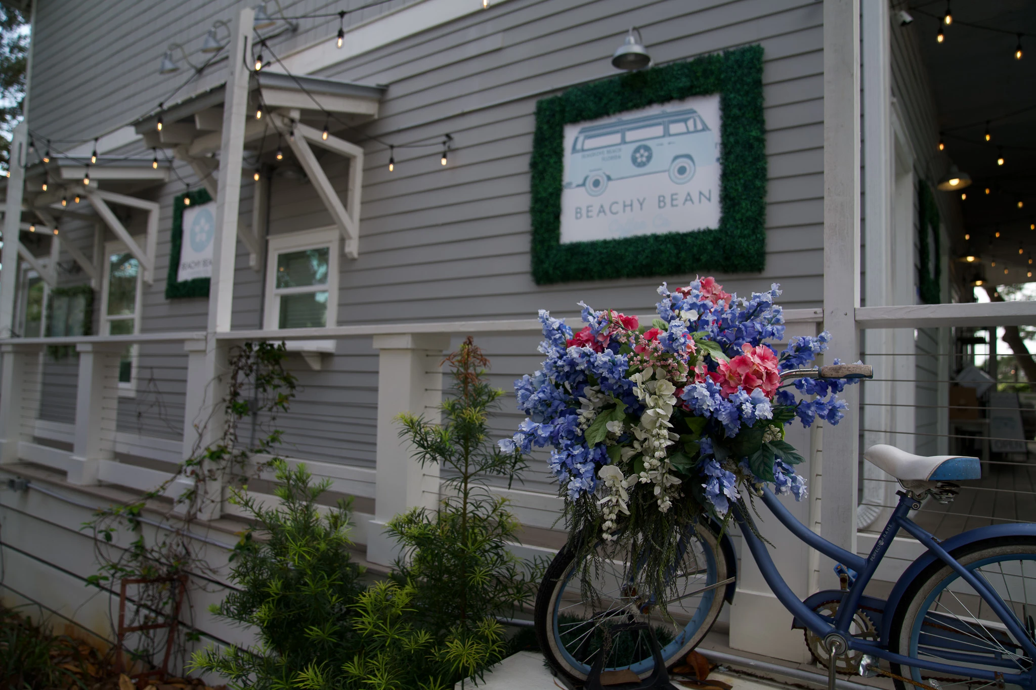 Beachy Bean Coffee Co.