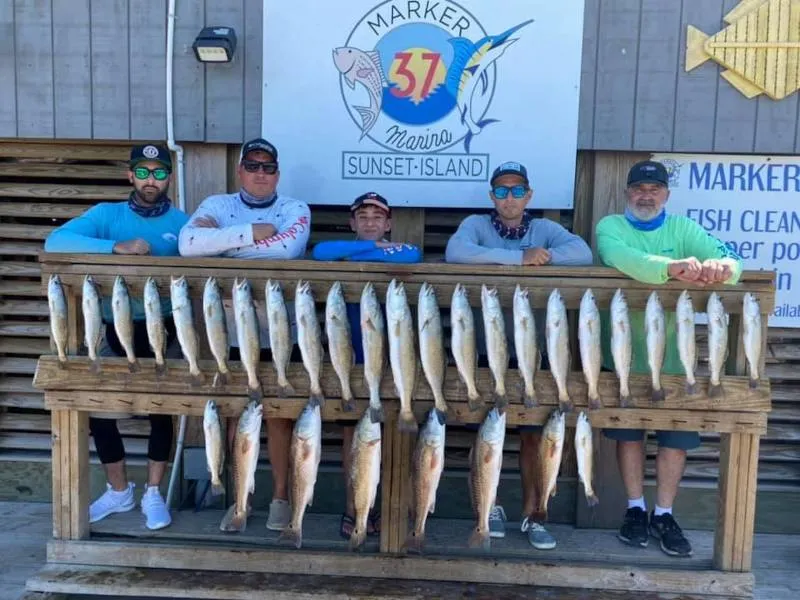 Corpus Christi marina & pier