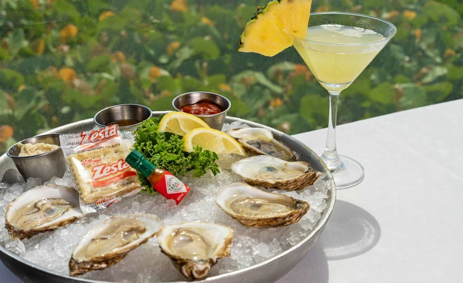 Oysters on the half shell with a martini