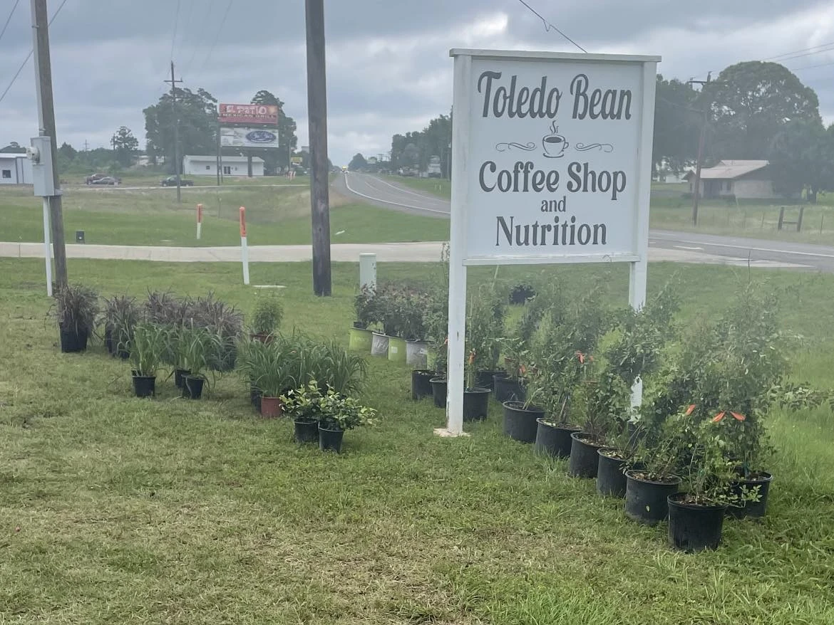 sign of toledo bean