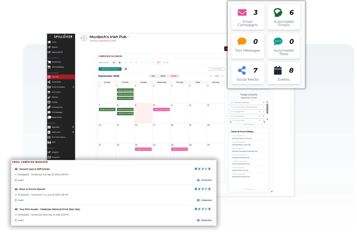 email campaign overview